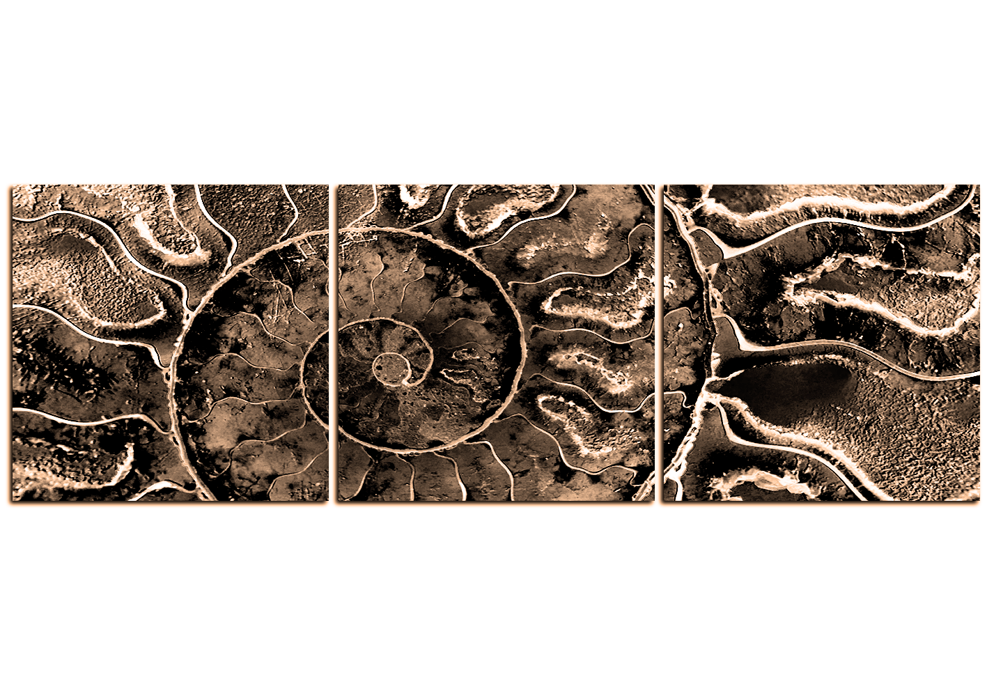 Obraz na plátně - Textura fosílie - panoráma Obraz na plátně - Textura fosílie - panoráma